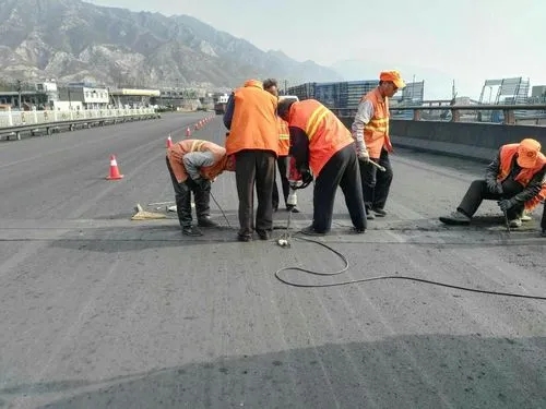 隆昌道路桥梁病害治理